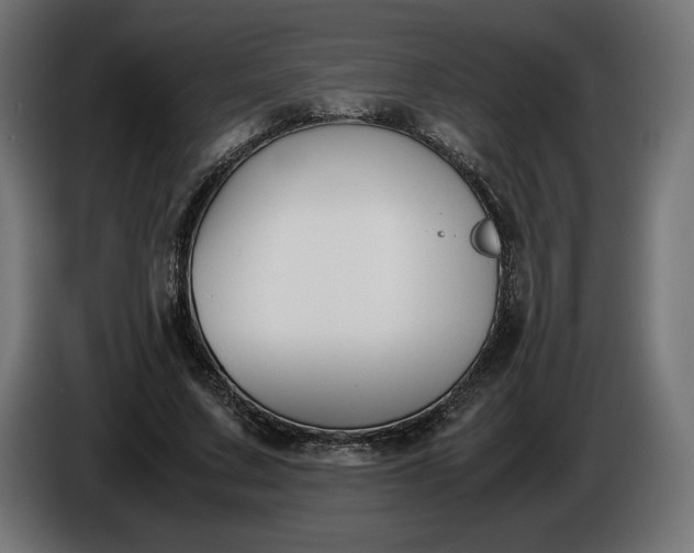 X0000086310683200704131632