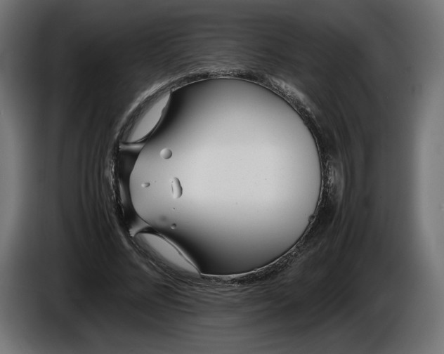 X0000086310684200704131632