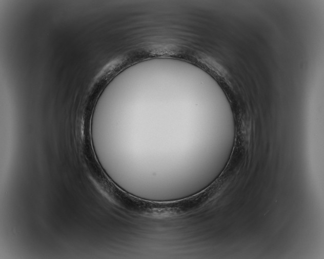 X0000086310686200704131632