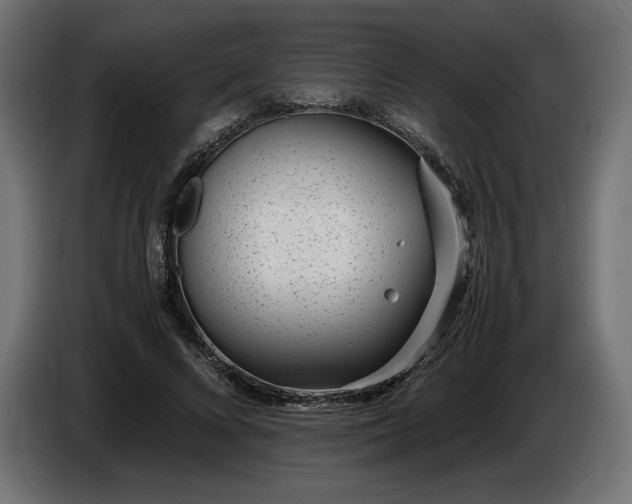 X0000086310688200704131632