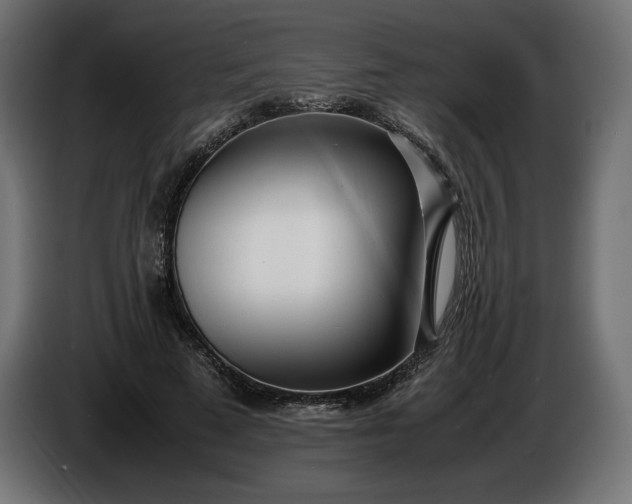 X0000086310689200704131632