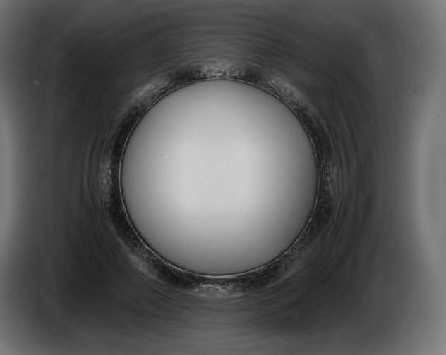 X0000086310690200704131632