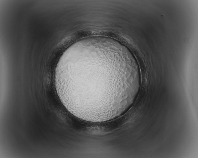 X0000086310691200704131632