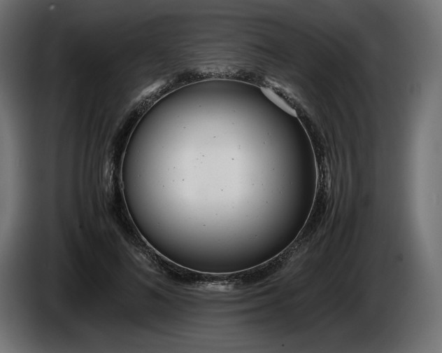 X0000086310692200704131632