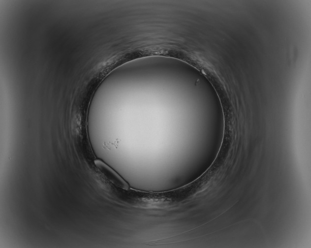 X0000086310693200704131632