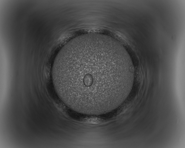 X0000086310695200704131632