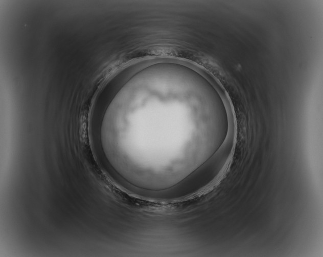 X0000086310696200704131632