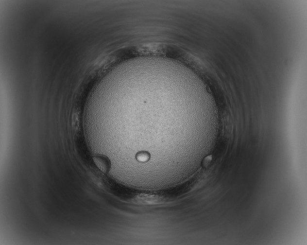 X0000086310699200704131632
