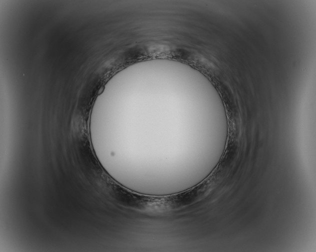 X0000086310705200704131631