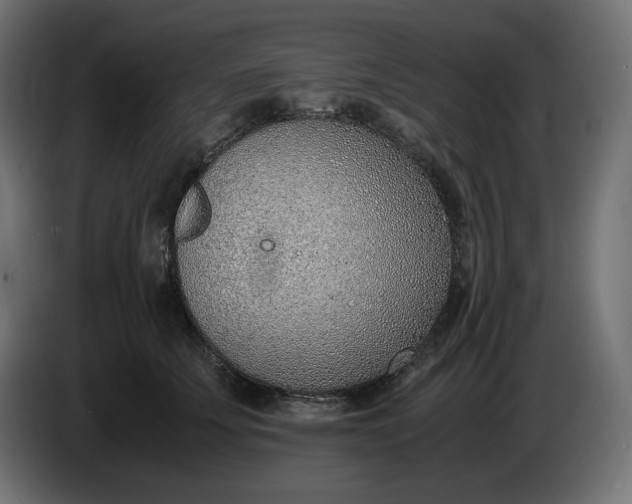 X0000086310707200704131631