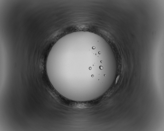 X0000086310710200704131631