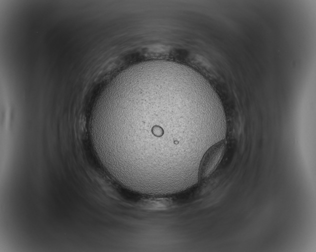 X0000086310711200704131631