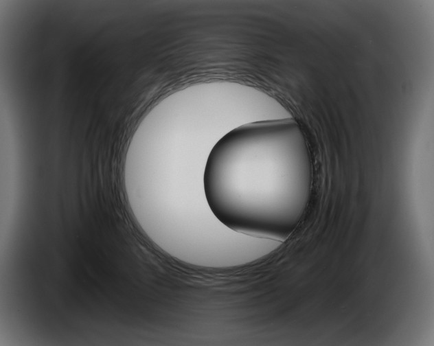 X0000086310712200704131631