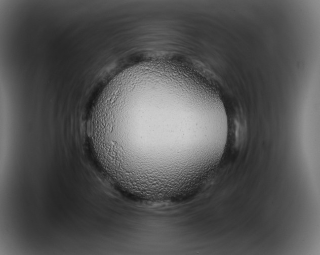 X0000086310716200704131631