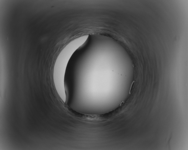 X0000086310720200704131631