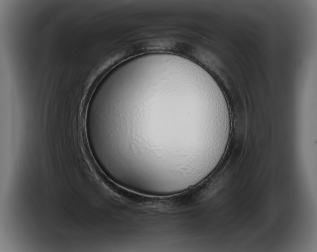 X0000086310721200704131631