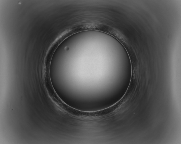 X0000086310722200704131631
