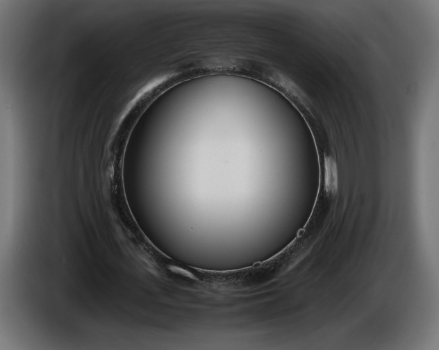 X0000086310723200704131631