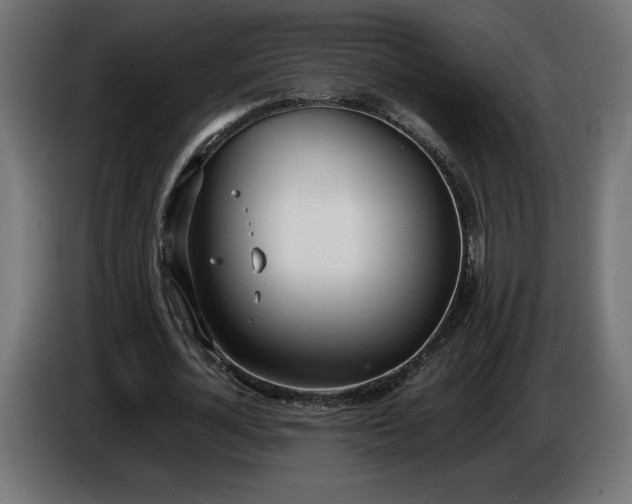 X0000086310724200704131631