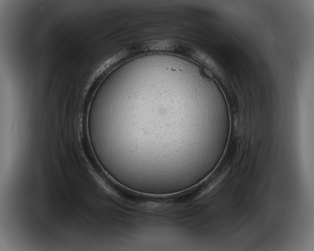 X0000086310725200704131631