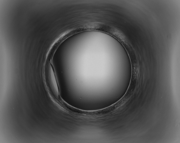 X0000086310726200704131631