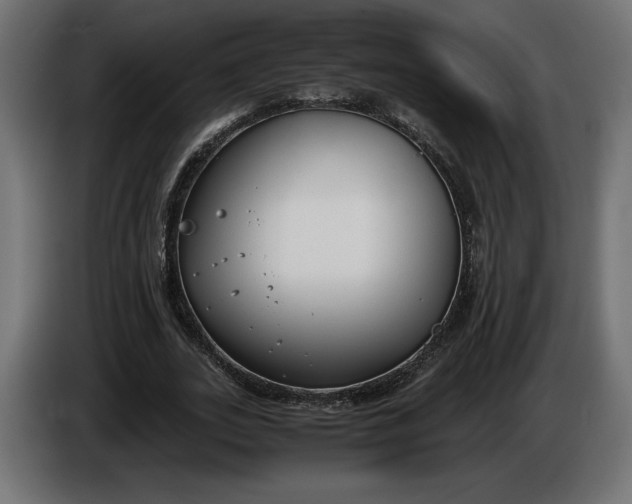 X0000086310727200704131631