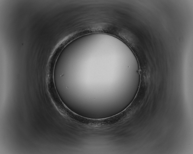 X0000086310728200704131631