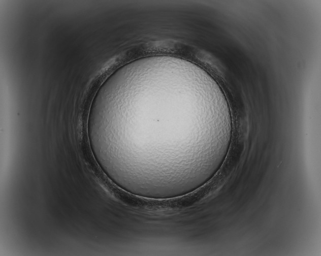 X0000086310729200704131631