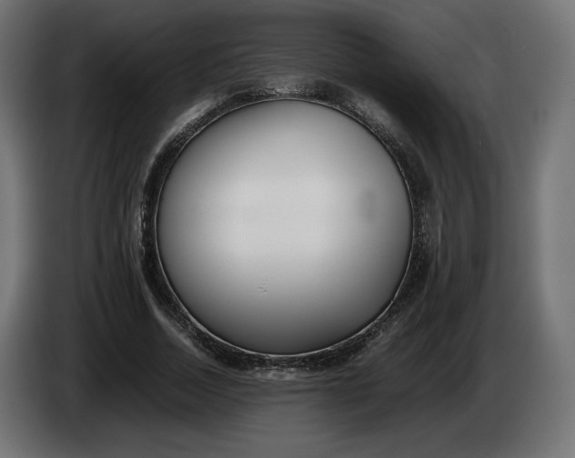 X0000086310730200704131631