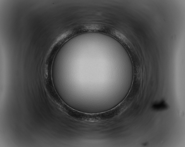 X0000086310731200704131631