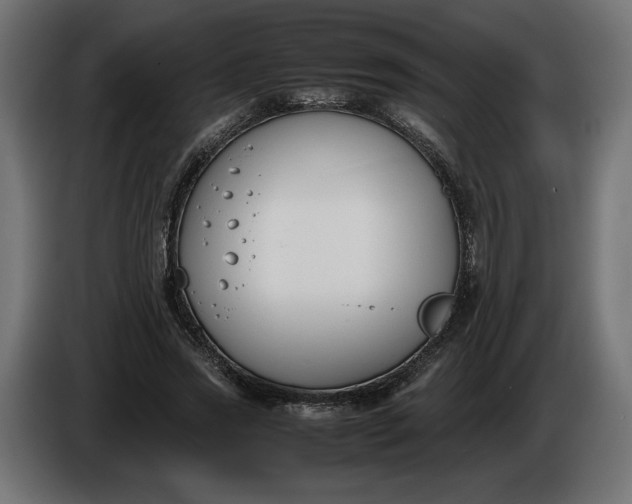 X0000086310733200704131631