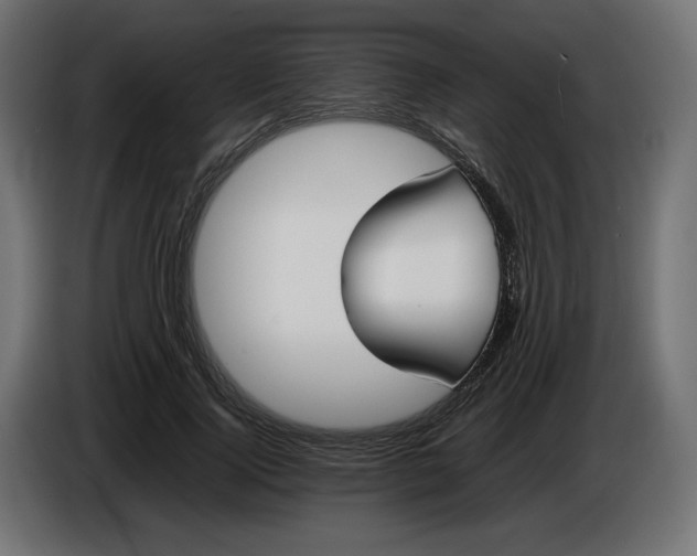 X0000086310740200704131631