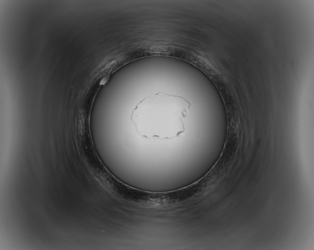 X0000086310744200704131631