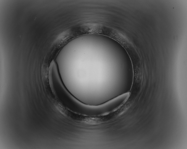 X0000086310748200704131631
