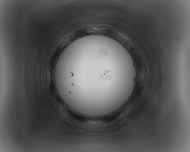 X0000086310749200704131631