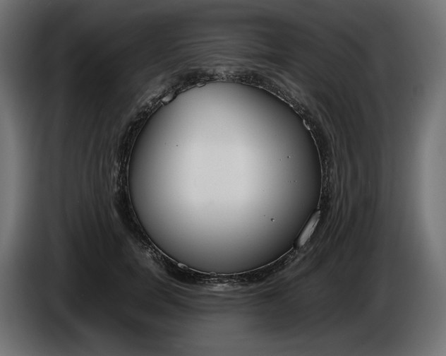 X0000086310750200704131631