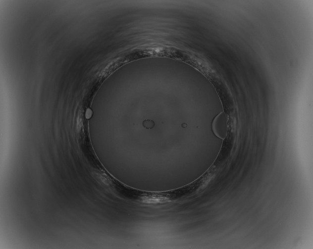 X0000086310754200704131631