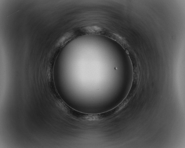 X0000086310762200704131631