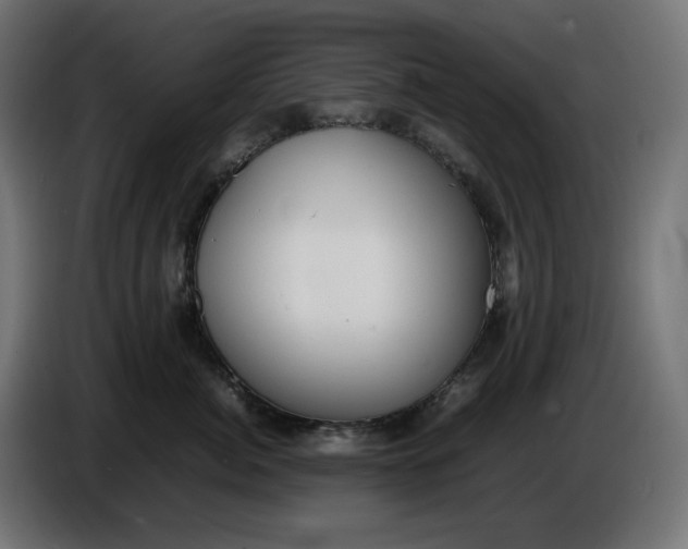 X0000086310764200704131631