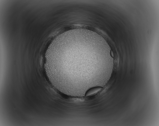 X0000086310765200704131631