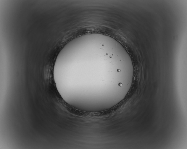X0000086310770200704131631