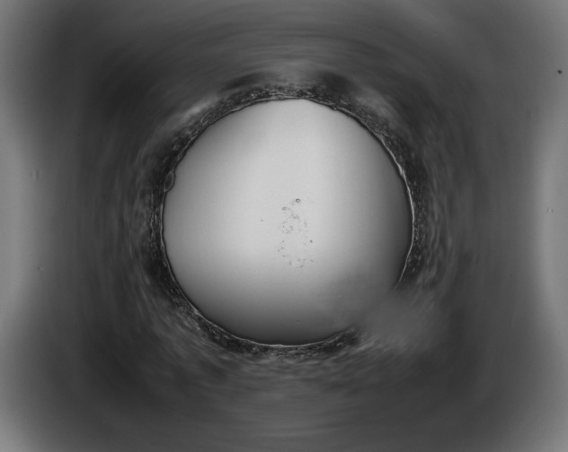 X0000086310773200704131630