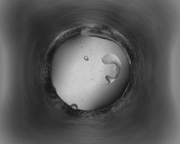 X0000086310776200704131630