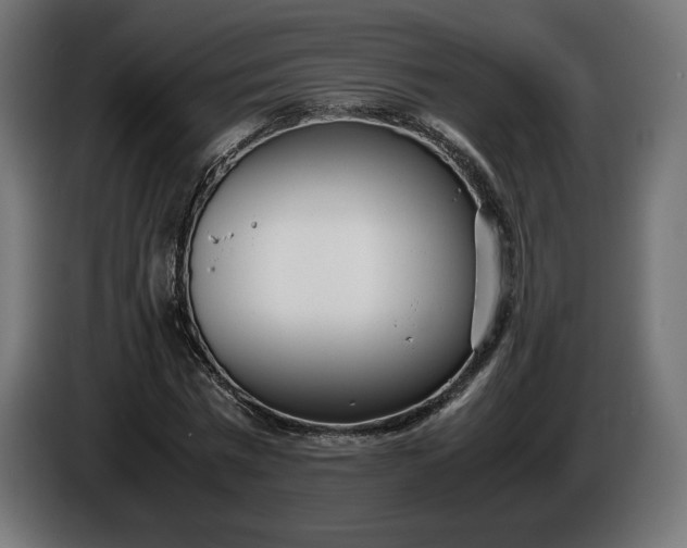 X0000086310777200704131630