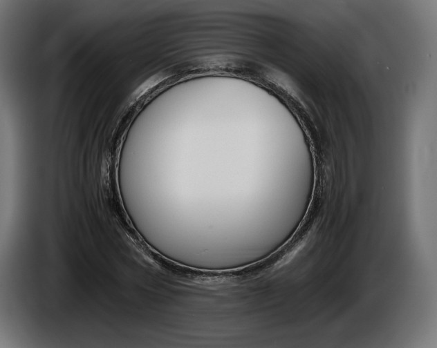 X0000086310778200704131630