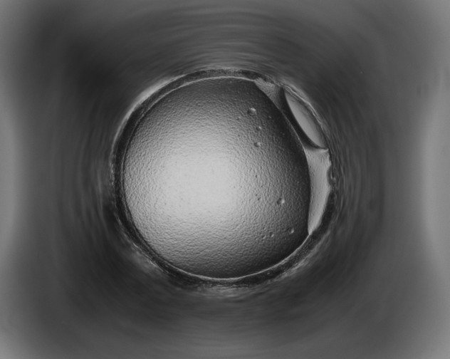 X0000086310779200704131630