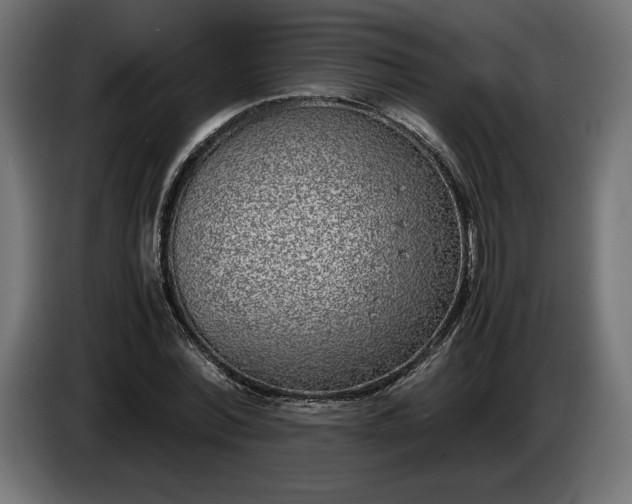 X0000086310780200704131630