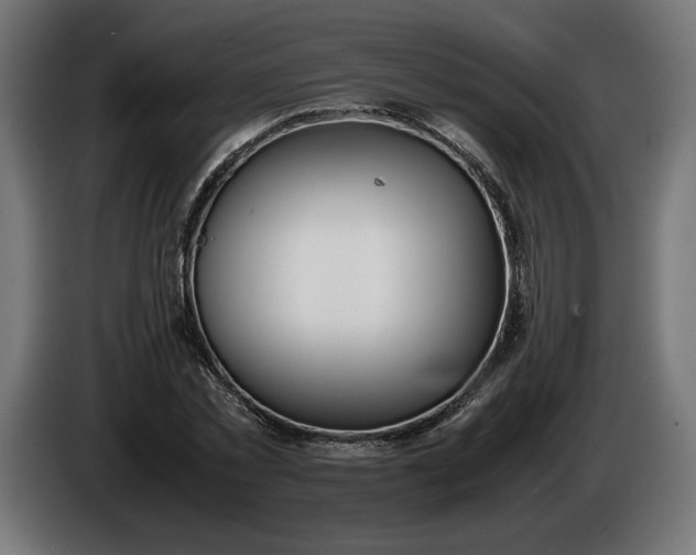 X0000086310781200704131630