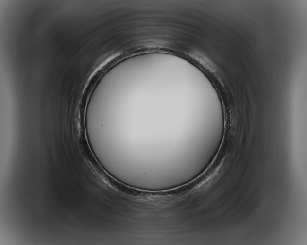 X0000086310782200704131630