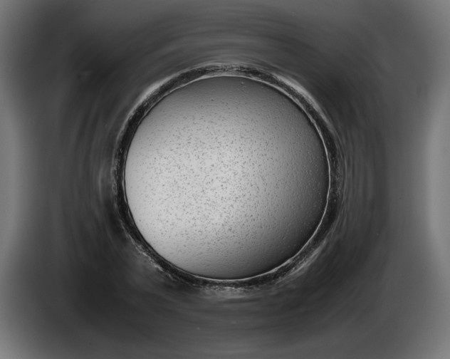 X0000086310783200704131630